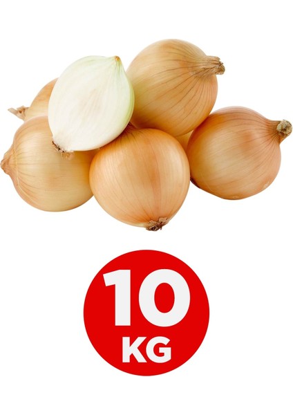 Kuru Soğan 10 kg fiyatları