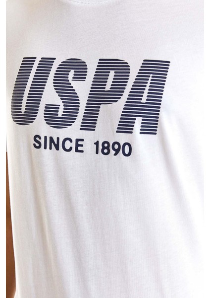 Us Polo Assn T-Shirt fırsatları