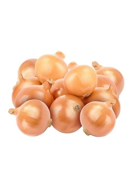 Kuru Soğan 20 kg