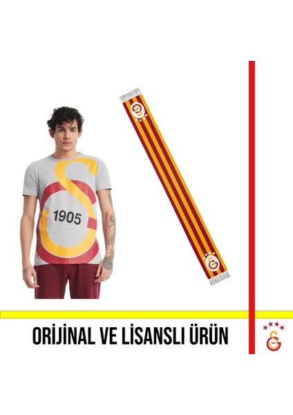 Lisanslı Büyük Logolu Gri T-Shirt ve Çubuklu Şal Atkı