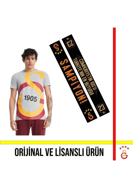 Lisanslı Büyük Logolu Gri T-Shirt ve 23 Şampiyonluk Şal Atkı