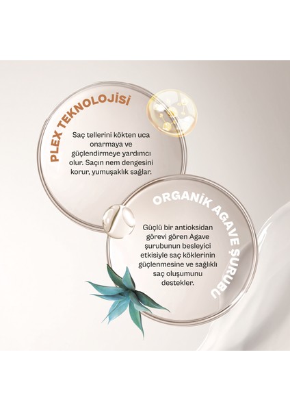 Bond Plex Yıpranma Karşıtı Sülfatsız Şampuan 350 ml + Saç Bakım Sütü 200 ml + Saç Bakım Yağı 100 ml - Vegan