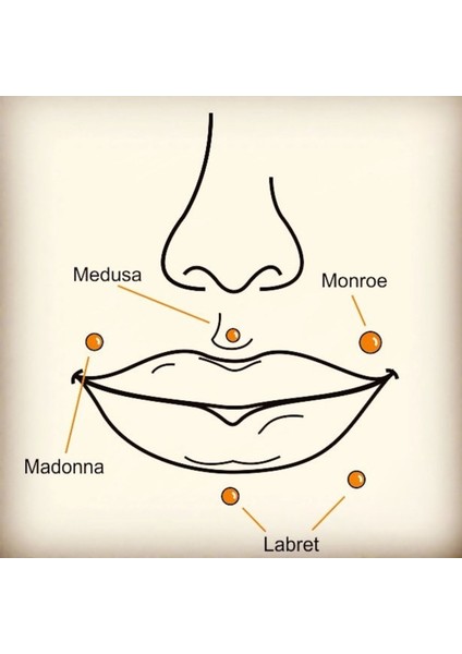 Cerrahi Çelik Vertical Lip Piercing /banana Piercing - 1 Adet