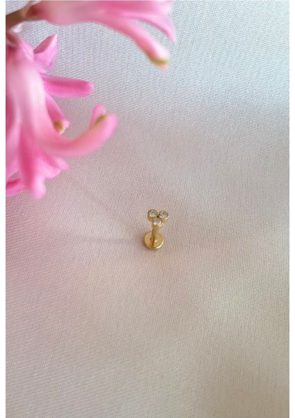 316 L Cerrahi Çelik Piercing - 1 Adet
