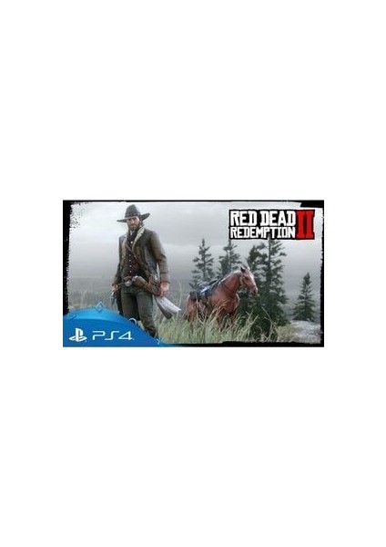 Red Dead Redemption 2 Aksiyon Oyunu Playstation 4 İçin Tek Oyunculu Deneyim fiyatları