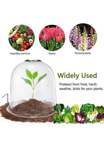 Silhouette 34 Adettakım Kapağı Plastik Mini Sera Anti Donma Bitki Kapakları Çiçekler Aksesuarları Için Şeffaf 26X21CM (Yurt Dışından) fiyatları