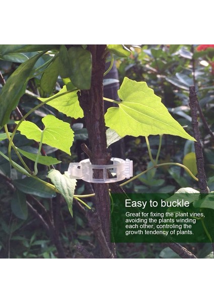 Silhouette Asma Sebzeler Için 150 Adet Bitki Desteği Bahçe Klipleri, Domates Kafes Klipleri, Bahçe Sebzelerinin Dik Büyümesini (Yurt Dışından) indirimleri