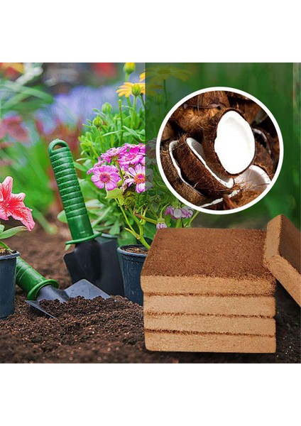 Silhouette 2 Adet Hindistan Cevizi Pelet Toprak Hindistan Cevizi Elyaf Hindistan Cevizi Pelet Besin Toprak Bitki Sıkıştırılmış Taban Hindistan Cevizi Pelet Toprak (Yurt Dışından) fiyatları