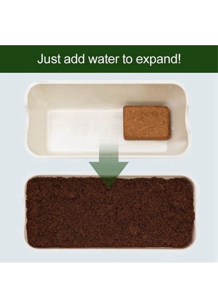 Silhouette 2 Adet Hindistan Cevizi Pelet Toprak Hindistan Cevizi Elyaf Hindistan Cevizi Pelet Besin Toprak Bitki Sıkıştırılmış Taban Hindistan Cevizi Pelet Toprak (Yurt Dışından) fırsatları