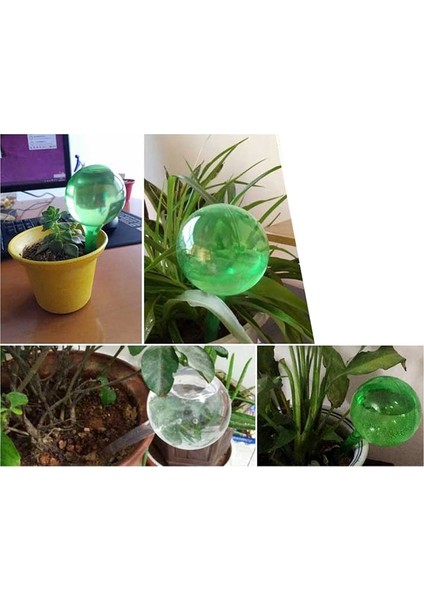 Silhouette 4 Adet Otomatik Sulama Cihazı Küre Tatil Houseplant Saksı Ampuller Bahçe Suluk Çiçek Su Damla Yeşil (Yurt Dışından) indirimleri