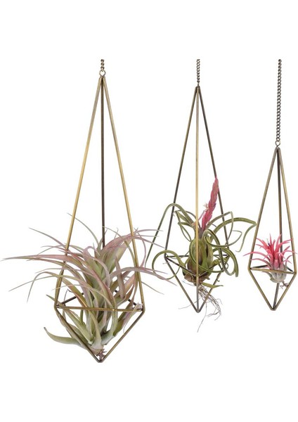 Silhouette Değerli Taş Saksılar Için 3'lü Paket Asılı Hava Tesisi Standı Tillandsia'da Sergileniyor Zincirli Ev Dekorasyonu Yüzer, Antik Bronz Için Uygun (Yurt Dışından) fiyatları