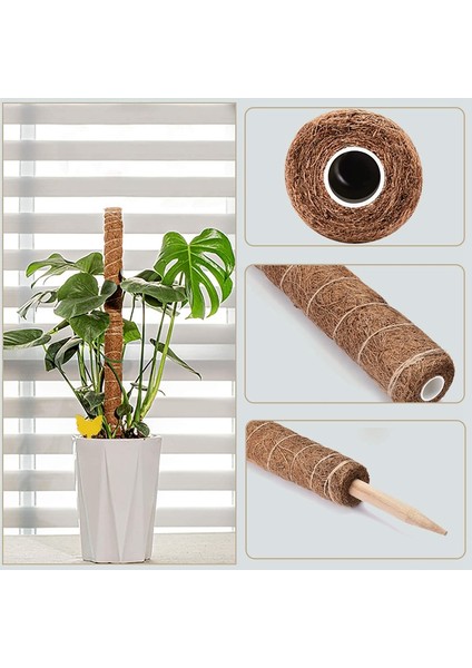 Silhouette Tırmanan Bitkiler Için Direk 40CM 2 Paket Hindistan Cevizi Direkleri Iç Mekan Bitkilerinin Yukarıya Doğru Büyümesini Monstera Bitkileri Için Bitki Desteğ (Yurt Dışından) modelleri