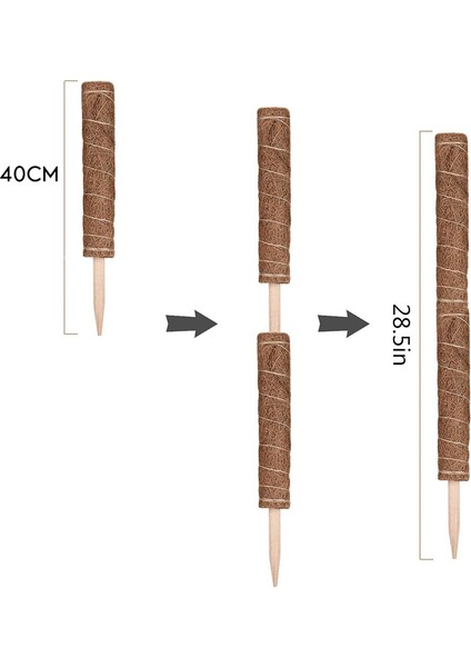 Silhouette Tırmanan Bitkiler Için Direk 40CM 2 Paket Hindistan Cevizi Direkleri Iç Mekan Bitkilerinin Yukarıya Doğru Büyümesini Monstera Bitkileri Için Bitki Desteğ (Yurt Dışından) fırsatları