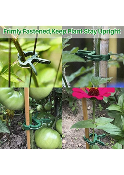 Silhouette Bahçecilik Için Bitki Desteği Klipsli Bağlar Bambu Kazıklı Domates Kafesi Kafesli Nazik Bitki ve Çiçek Kelepçeleri (Yurt Dışından) indirimleri