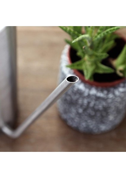 Silhouette Sulama Kabı Paslanmaz Çelik Uzun Borulu Sulama Kabı Açık ve Kapalı Ev Bitkileri Için Modern Stil (Yurt Dışından) indirimleri