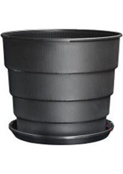 Silhouette Kök Kontrolü Saksı Kalın Reçine Nefes Alabilir Orkide Yeşil Dereotu Saksı Gül Saksı Siyah (Yurt Dışından)