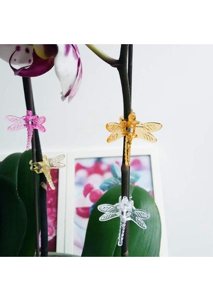 Silhouette 60 Adet Yusufçuk Orkide Klipleri Sarmaşıklar Klipler Renkli Bahçe Bitkisi Klipleri Destekleyici Orkide Çiçek Askılığı Bahçe Domates (Yurt Dışından) fiyatları