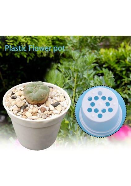 Silhouette 80 Parça Beyaz Plastik Çiçekler Bitkiler Fideler Fidanlık Saksıları Bahçe Aletleri 6.5x5.5 cm Saksı (Yurt Dışından) indirimleri