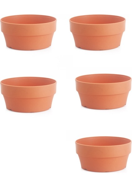 Silhouette 5pcs Etli Tabak Yeşil Bitkiler Saksı Balkon Saksı Bahçe Malzemeleri (Yurt Dışından)
