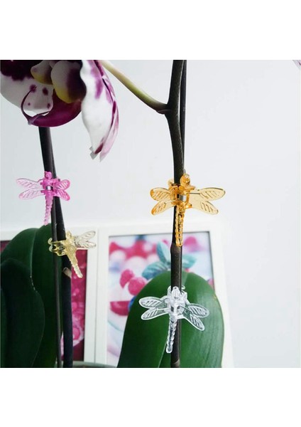 Silhouette 30 Adet Yusufçuk Bitki Klipleri ve 30 Adet Uğur Böceği Bitki Destek Klipleri, Çiçek Asma Kök Klipler Bahçe Bitki Dekorasyon Için (Yurt Dışından) fiyatları