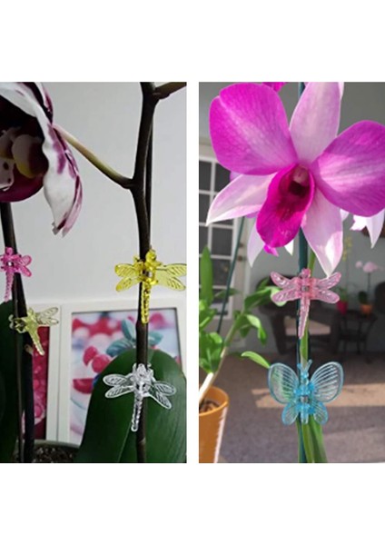 Silhouette 30 Adet Yusufçuk Bitki Klipleri ve 30 Adet Uğur Böceği Bitki Destek Klipleri, Çiçek Asma Kök Klipler Bahçe Bitki Dekorasyon Için (Yurt Dışından) fırsatları