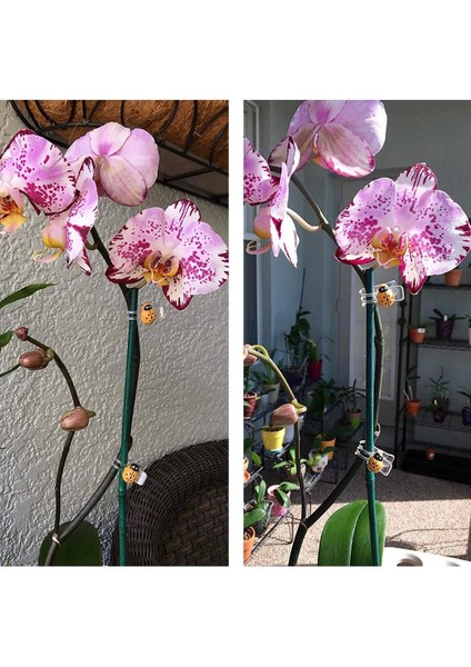 Silhouette 30 Adet Yusufçuk Bitki Klipleri ve 30 Adet Uğur Böceği Bitki Destek Klipleri, Çiçek Asma Kök Klipler Bahçe Bitki Dekorasyon Için (Yurt Dışından) indirimleri