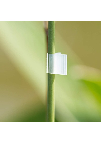 Silhouette 200 Adet Bitki Aşılama Klipleri Bitki Destek Klipleri Domates Klipleri Asma Fasulye Için Bahçe Kafes Klipleri 5mm (Yurt Dışından) fiyatları