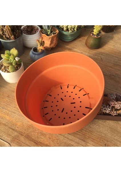 Silhouette 5pcs Etli Tabak Yeşil Bitkiler Saksı Balkon Saksı Bahçe Malzemeleri (Yurt Dışından) fiyatları