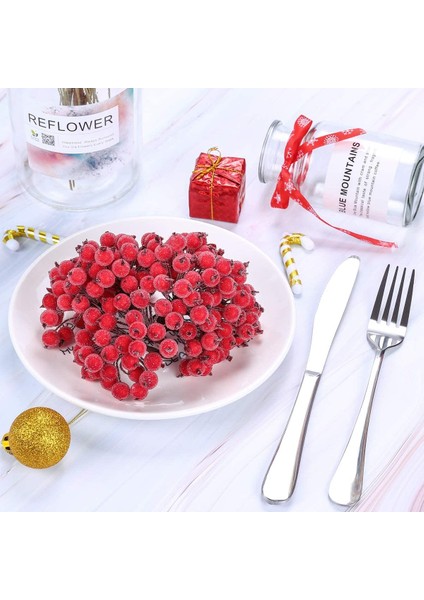 Silhouette 200 Adet Yapay Kırmızı Meyveler Holly Noel Çelenk Süslemeleri Noel Çelenk Yapımı Malzemeleri, Dıy Dekorasyon (Yurt Dışından) fiyatları