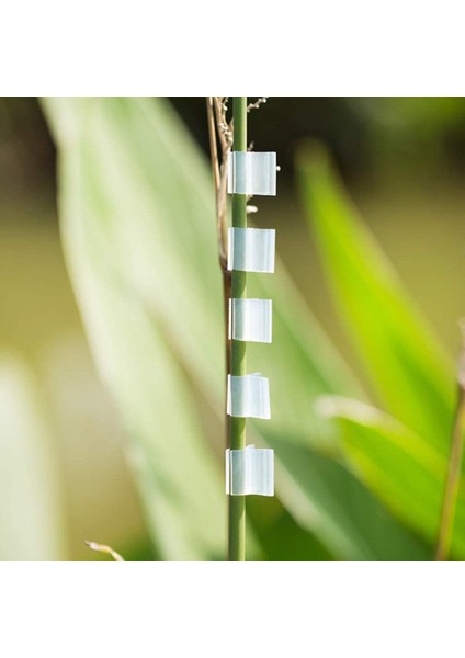 Silhouette 200 Adet Bitki Aşılama Klipleri Bitki Destek Klipleri Domates Klipleri Asma Fasulye Için Bahçe Kafes Klipleri 5mm (Yurt Dışından) fırsatları