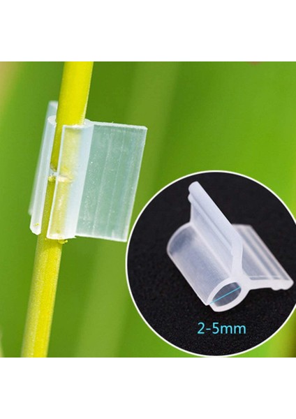 Silhouette 200 Adet Bitki Aşılama Klipleri Bitki Destek Klipleri Domates Klipleri Asma Fasulye Için Bahçe Kafes Klipleri 5mm (Yurt Dışından) indirimleri