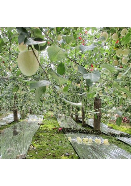 Silhouette 6 Paket Yüksek Gümüş Yansıtıcı Mylar Film, Bahçe Sera Kaplama Folyo Levhalar Bitki Büyümesini Etkili Bir Şekilde Artırır (Yurt Dışından) fırsatları