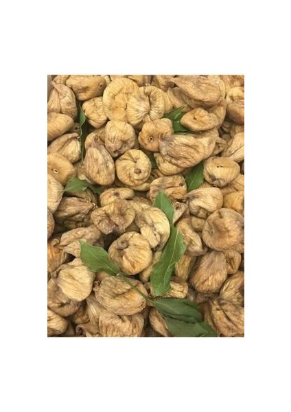 Incirin Anavatanı Aydın Germencik Dal Kurusu 1 kg Kuru Incir fiyatları