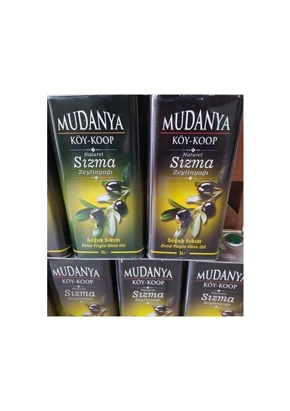 Mudanya Soguk Sıkım Sızma Zeytinyağı 5 Lt fiyatları