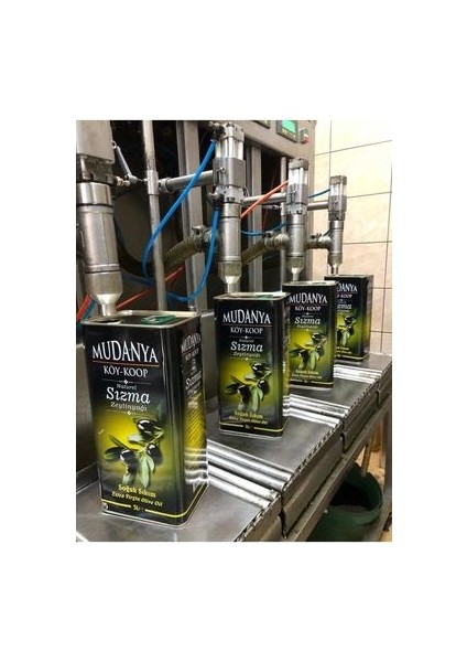 Mudanya Soguk Sıkım Sızma Zeytinyağı 5 Lt modelleri