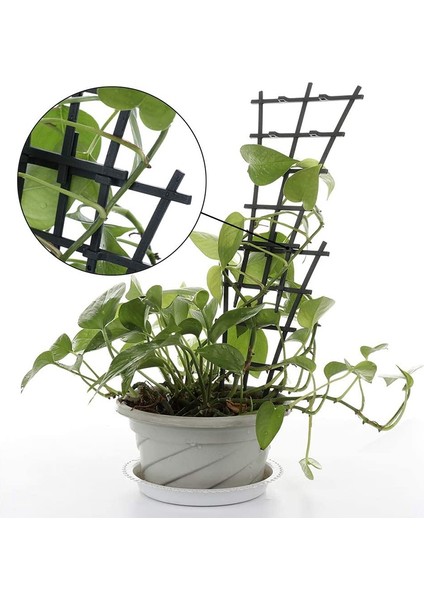 Silhouette 10 Adet Bahçe Tesisi Desteği, Mini Tırmanma Kafes Çiçek Rattan Çerçeve Kafeslerini Netleştirme, Yeşil (Yurt Dışından) fırsatları