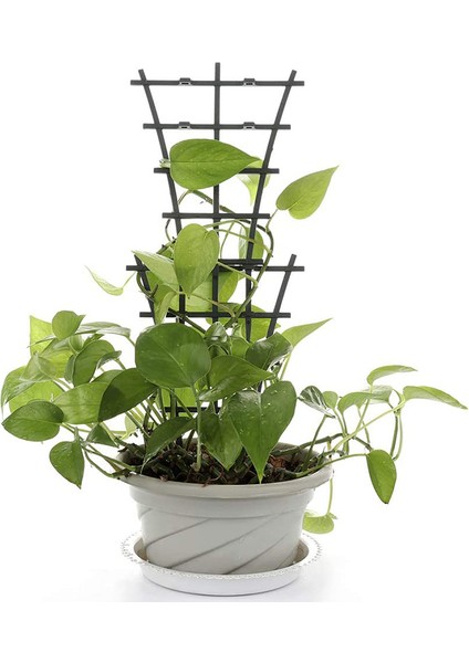 Silhouette 10 Adet Bahçe Tesisi Desteği, Mini Tırmanma Kafes Çiçek Rattan Çerçeve Kafeslerini Netleştirme, Yeşil (Yurt Dışından) indirimleri