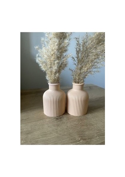 Pampas Vazosu, Iskandinav Dekoratif Beton Vazo Biblo 10CM Çok Şık 2'li Gönderim