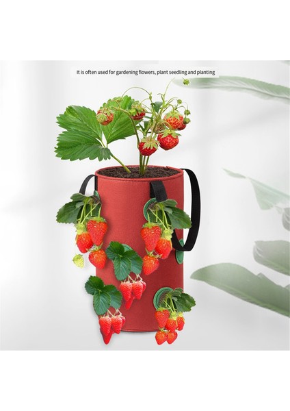 Silhouette 3 Adet Çok Fonksiyonlu 12 Delik Keçe Asılı Domates Yetiştirme Çantası Ekici Sebze Çiçek Bitki Yetiştirme Çantaları Bahçe Saksı, C (Yurt Dışından)