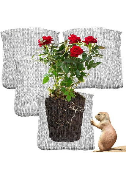 Silhouette Bitki Kök Koruma Sepetleri 6 Adet Kök Koruma Tel Sepet Kafesleri Bahçedeki Bitkiler Için Yeraltı Paslanmaz Çelik Tel (Yurt Dışından) fiyatları