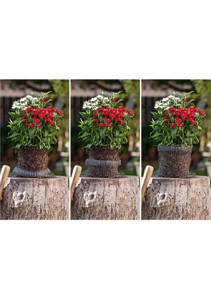 Silhouette Bitki Kök Koruma Sepetleri 6 Adet Kök Koruma Tel Sepet Kafesleri Bahçedeki Bitkiler Için Yeraltı Paslanmaz Çelik Tel (Yurt Dışından) fırsatları