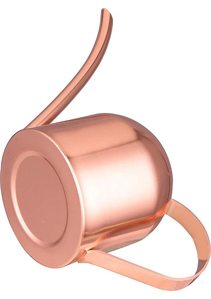 Silhouette 33OZ1000ML Küçük Paslanmaz Çelik Sulama Kovası Kapalı Açık Metal Sulama Kabı Ev Bitkileri ve Çocuklar Için Uzun Borulu-Gül Altın (Yurt Dışından) modelleri