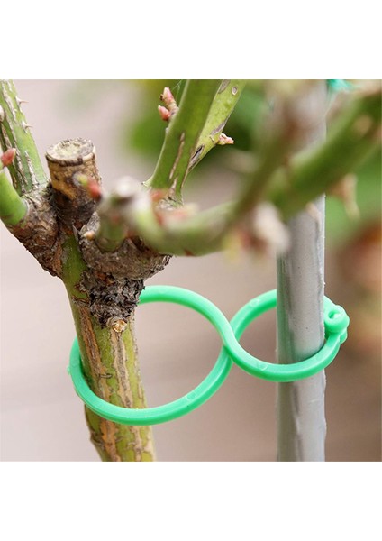 Silhouette Bitki Büküm Klip Bağları Bahçe Tesisi Destek Klipleri Sebze Domates Asma Çiçek Klipleri Tesisi Sabitlemek Için Bitki Kilitleri, S (Yurt Dışından) modelleri