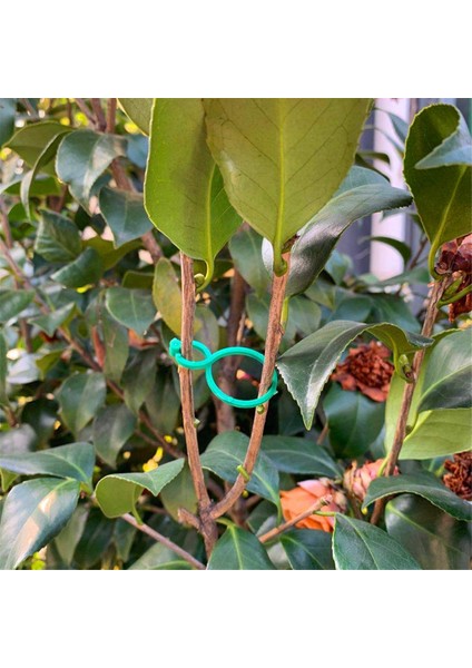 Silhouette Bitki Büküm Klip Bağları Bahçe Tesisi Destek Klipleri Sebze Domates Asma Çiçek Klipleri Tesisi Sabitlemek Için Bitki Kilitleri, S (Yurt Dışından) fırsatları