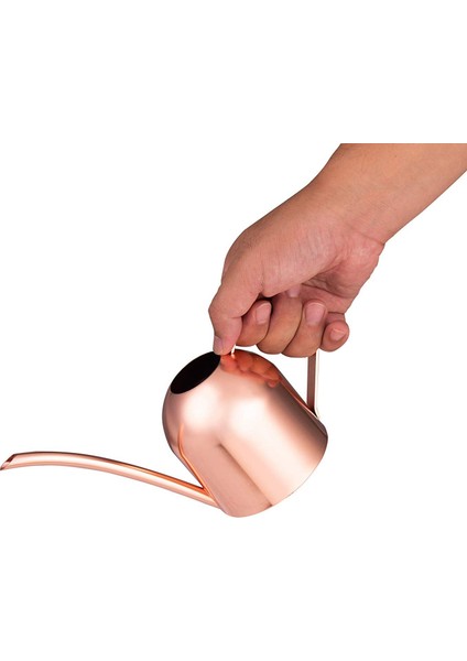 Silhouette 33OZ1000ML Küçük Paslanmaz Çelik Sulama Kovası Kapalı Açık Metal Sulama Kabı Ev Bitkileri ve Çocuklar Için Uzun Borulu-Gül Altın (Yurt Dışından) indirimleri