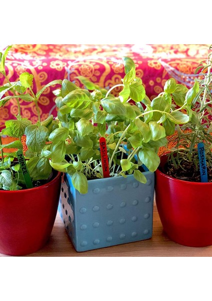 Silhouette Mini Renkli ve Doğal Ahşap Etiketleme Bitkileri ve Bitki Bahçesi Dıy Renkli Dondurma Çubukları (Renkli) 550 Adet (Yurt Dışından) fırsatları