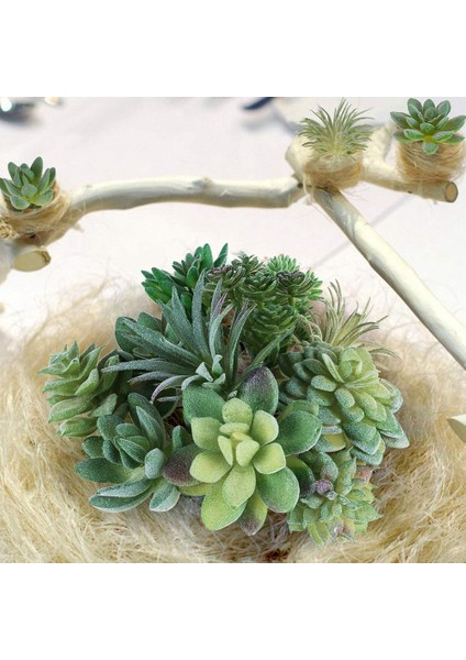 Silhouette 7 Adet Yapay Etli Bitkiler Yeşil Saksısız Sahte Çiçek Succulents Ev Bahçe Süslemeleri Için Mini Echeveria (Yurt Dışından)