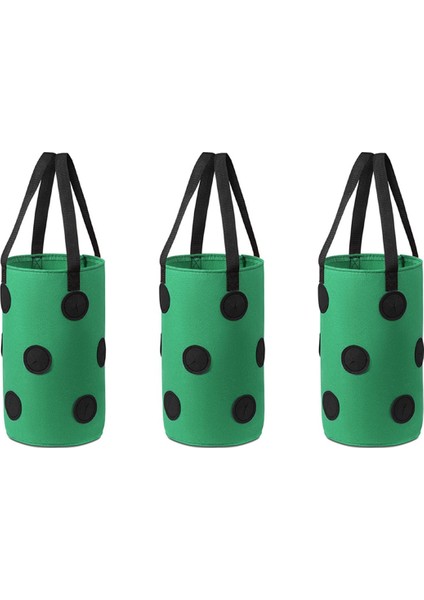 Silhouette 3 Adet Çok Fonksiyonlu 12 Delik Keçe Asılı Domates Yetiştirme Çantası Ekici Sebze Çiçek Bitki Yetiştirme Çantaları Bahçe Saksı, Bir (Yurt Dışından)