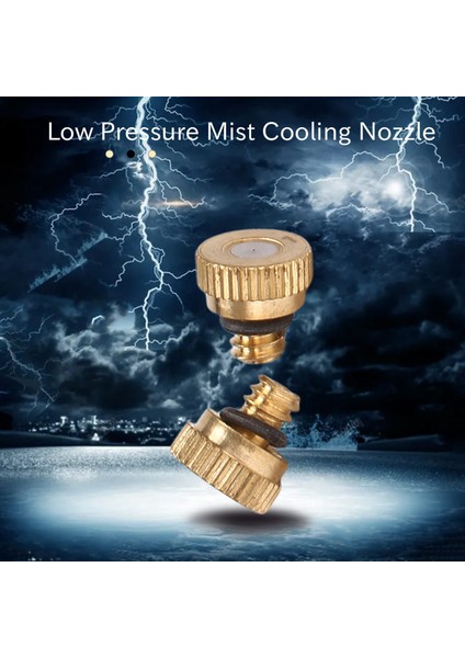 Silhouette 20 Adet Sis Buhar Nozulu, Düşük Basınçlı Sis Soğutma Memesi, Buğulanma Nozulları Orifis 0.1mm (Yurt Dışından) indirimleri