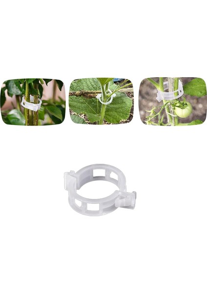 Silhouette 200 Adet Bitki Desteği Bahçe Klipleri Domates Klipleri Bitkileri Bağlarsicimsarmaşık Kafeskafesler Bitki Asma Beyaz (Yurt Dışından) fiyatları
